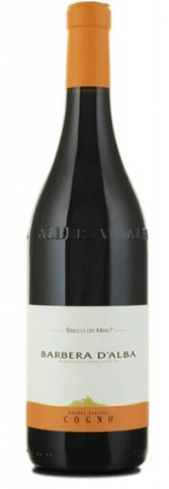 Elvio Cogno 2010 Elvio Cogno Bricco Dei Merli Barbera D'Alba